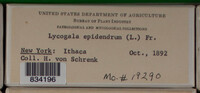 Image Associated With the Occurence